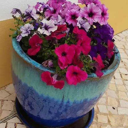 Wanderlust - Beautiful In Villa *