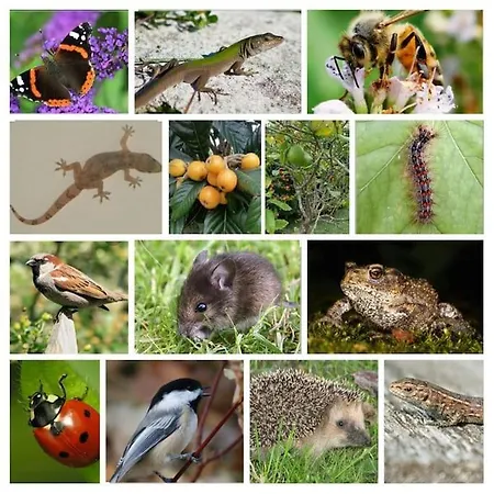 Wanderlust - Beautiful In